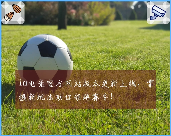 im电竞官方网站版本更新上线，掌握新玩法助你领跑赛季！